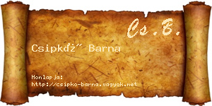 Csipkó Barna névjegykártya